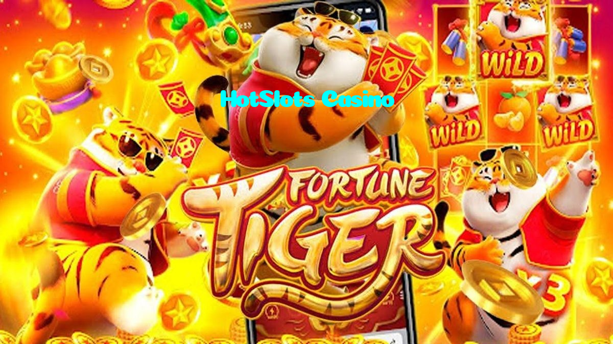 available types of HotSlots Casino bet including pre-match live express and system bets